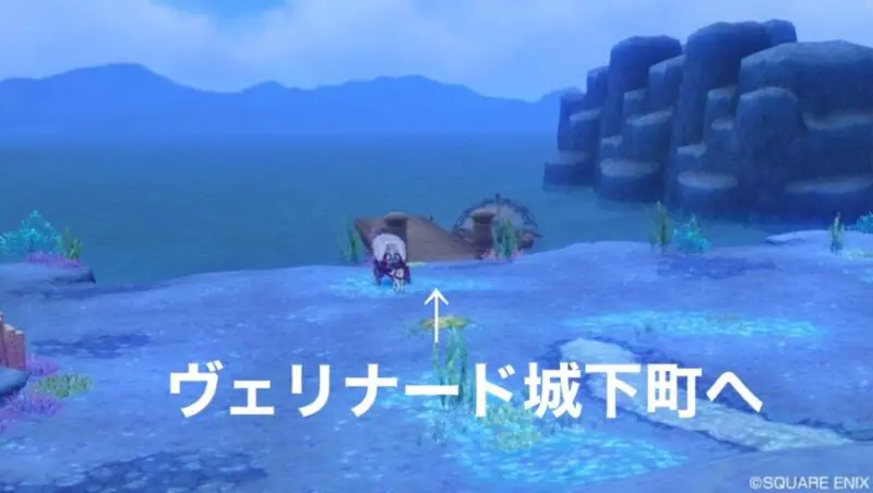 ドラクエ10攻略 討伐クエスト ウェナ諸島 ヴェリナード領南 あらゴンの気ままに備忘録